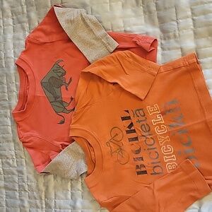 Tea Collection toddler shirts